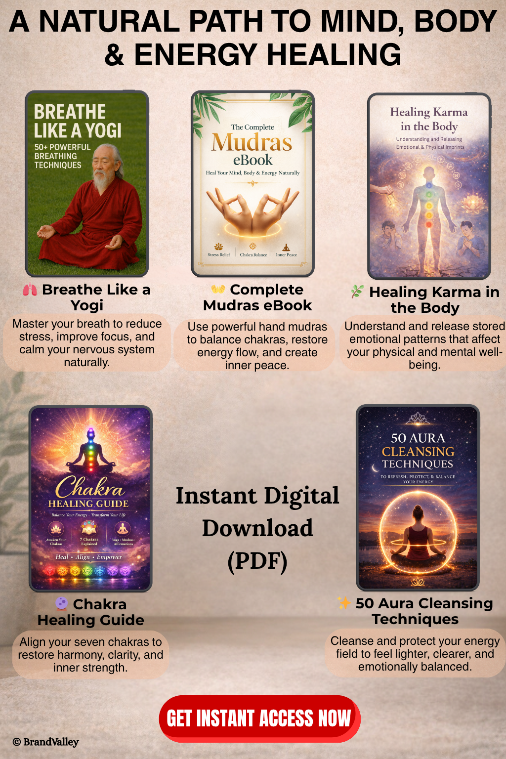 Get 5in1 Wellness E-Books + Free Visualization Blueprint E-Book.